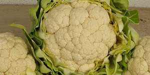 cavolfiore