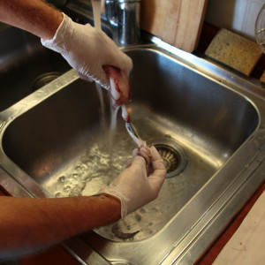 limpiar el pescado