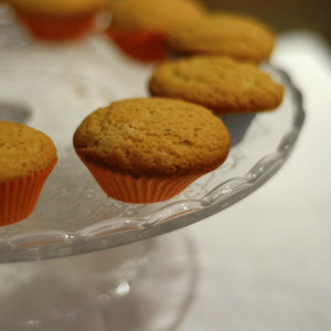 Cupcakeds