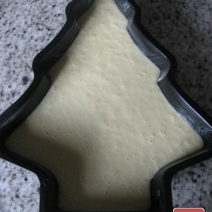 Pour the cake batter into the mould