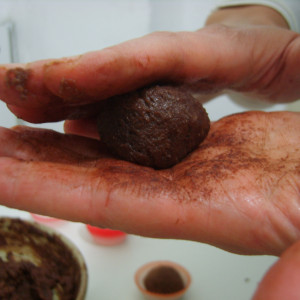 Préparation pour les truffes noires