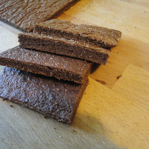 Slices of cocoa biscuit
