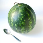 Suchen Sie einen geeigneten Wassermelone