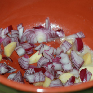Onion and apple