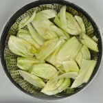 Fennel sections