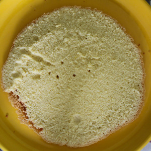 Sponge cake in two parts