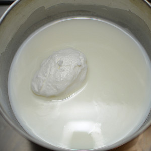 merengues en leche