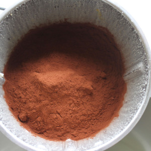 Cacao en poudre